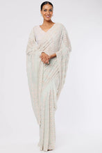 Load image into Gallery viewer, Aqua Embroidered Saree Set