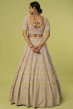 Load image into Gallery viewer, Mouse velvet intricate hand embroidered lehenga