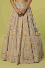 Load image into Gallery viewer, Mouse velvet intricate hand embroidered lehenga