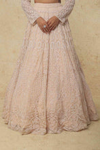 Load image into Gallery viewer, Pink organza lehenga