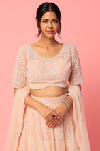 Load image into Gallery viewer, Pink organza pearl and cut dana embroidered lehenga