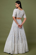 Load image into Gallery viewer, Ice blue organza pearl and cut dana embroidered lehenga