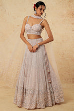 Load image into Gallery viewer, Pink net self on self embroidered lehenga