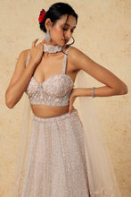 Load image into Gallery viewer, Pink net self on self embroidered lehenga