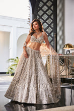 Load image into Gallery viewer, GREY EMBROIDERED ORGANZA SET