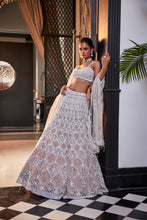 Load image into Gallery viewer, IVORY ORGANZA EMBROIDERED SET