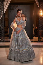 Load image into Gallery viewer, GREY EMBROIDERED ORGANZA SET