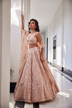 Load image into Gallery viewer, PINK EMBROIDERED ORGANZA SET