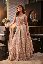 Load image into Gallery viewer, ICEBLUE EMBROIDERED ORGANZA  SET (Copy)