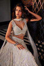 Load image into Gallery viewer, GREY EMBROIDERED ORGANZA SET