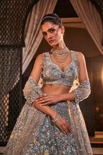 Load image into Gallery viewer, GREY EMBROIDERED ORGANZA SET