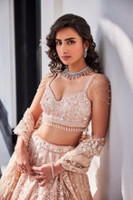 Load image into Gallery viewer, PINK EMBROIDERED ORGANZA SET
