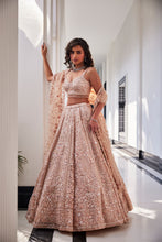 Load image into Gallery viewer, PINK EMBROIDERED ORGANZA SET