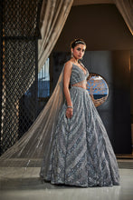 Load image into Gallery viewer, GREY EMBROIDERED ORGANZA SET