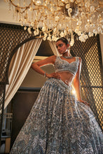 Load image into Gallery viewer, ICEBLUE EMBROIDERED ORGANZA  SET