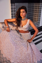 Load image into Gallery viewer, PINK EMBROIDERED ORGANZA SET