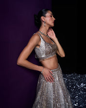 Load image into Gallery viewer, Grey Organza Lehenga Set