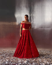 Load image into Gallery viewer, Red Net Lehenga Set