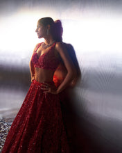 Load image into Gallery viewer, Red Net Lehenga Set