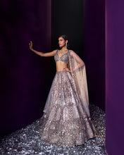 Load image into Gallery viewer, Champagne Organza Lehenga Set