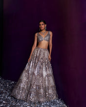 Load image into Gallery viewer, Champagne Organza Lehenga Set