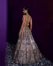Load image into Gallery viewer, Champagne Organza Lehenga Set