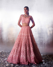 Load image into Gallery viewer, Blush Pink Net Lehenga Set