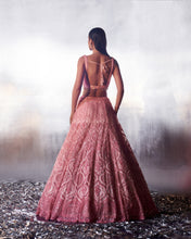 Load image into Gallery viewer, Blush Pink Net Lehenga Set