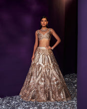 Load image into Gallery viewer, Gold Tissue Lehenga Set
