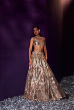 Load image into Gallery viewer, Gold Tissue Lehenga Set