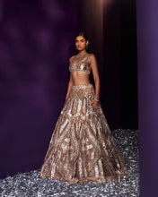 Load image into Gallery viewer, Gold Tissue Lehenga Set