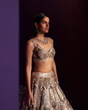Load image into Gallery viewer, Gold Tissue Lehenga Set