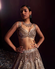 Load image into Gallery viewer, Gold Tissue Lehenga Set