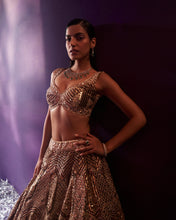Load image into Gallery viewer, Gold Tissue Lehenga Set