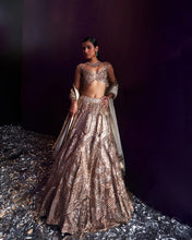 Load image into Gallery viewer, Gold Tissue Lehenga Set
