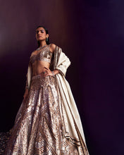 Load image into Gallery viewer, Gold Tissue Lehenga Set