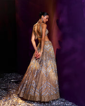 Load image into Gallery viewer, Gold Net Lehenga Set