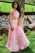 Load image into Gallery viewer, Blush Pink Floral Printed Embroidered Crop-Top & Flared Skirt Set