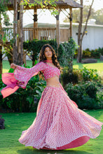 Load image into Gallery viewer, Mauve Printed & Embroidered Lehenga Set