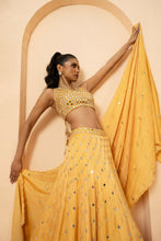Load image into Gallery viewer, Intricate handwork of mirrors and pearls all over lehenga, blouse and dupatta