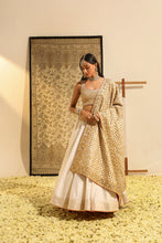 Load image into Gallery viewer, Blouse with lehenga and odhni