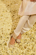 Load image into Gallery viewer, Chauga with Salwar
