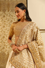 Load image into Gallery viewer, Blouse with lehenga and odhni