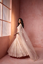 Load image into Gallery viewer, BLUSH PINK NET LEHENGA SET