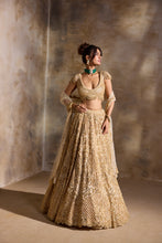 Load image into Gallery viewer, GOLD CUTWORK LEHENGA SET