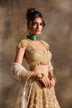 Load image into Gallery viewer, GOLD CUTWORK LEHENGA SET