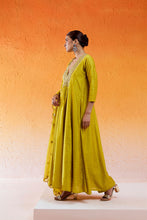 Load image into Gallery viewer, Daisy Yellow Embroidered Anarkali Suit