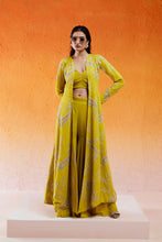 Load image into Gallery viewer, Daisy Yellow Embroidered Jacket Sharara Set