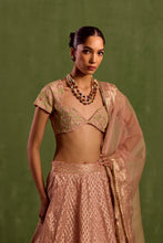 Load image into Gallery viewer, peach lehenga set