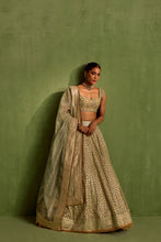 Load image into Gallery viewer, mint green lehenga set